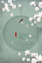 猫咪在线免费观看